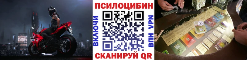 Галлюциногенные грибы Cubensis  блэк спрут ссылки  Райчихинск 