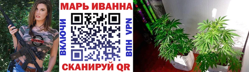 Шишки марихуана сатива  купить  сайты  Райчихинск 